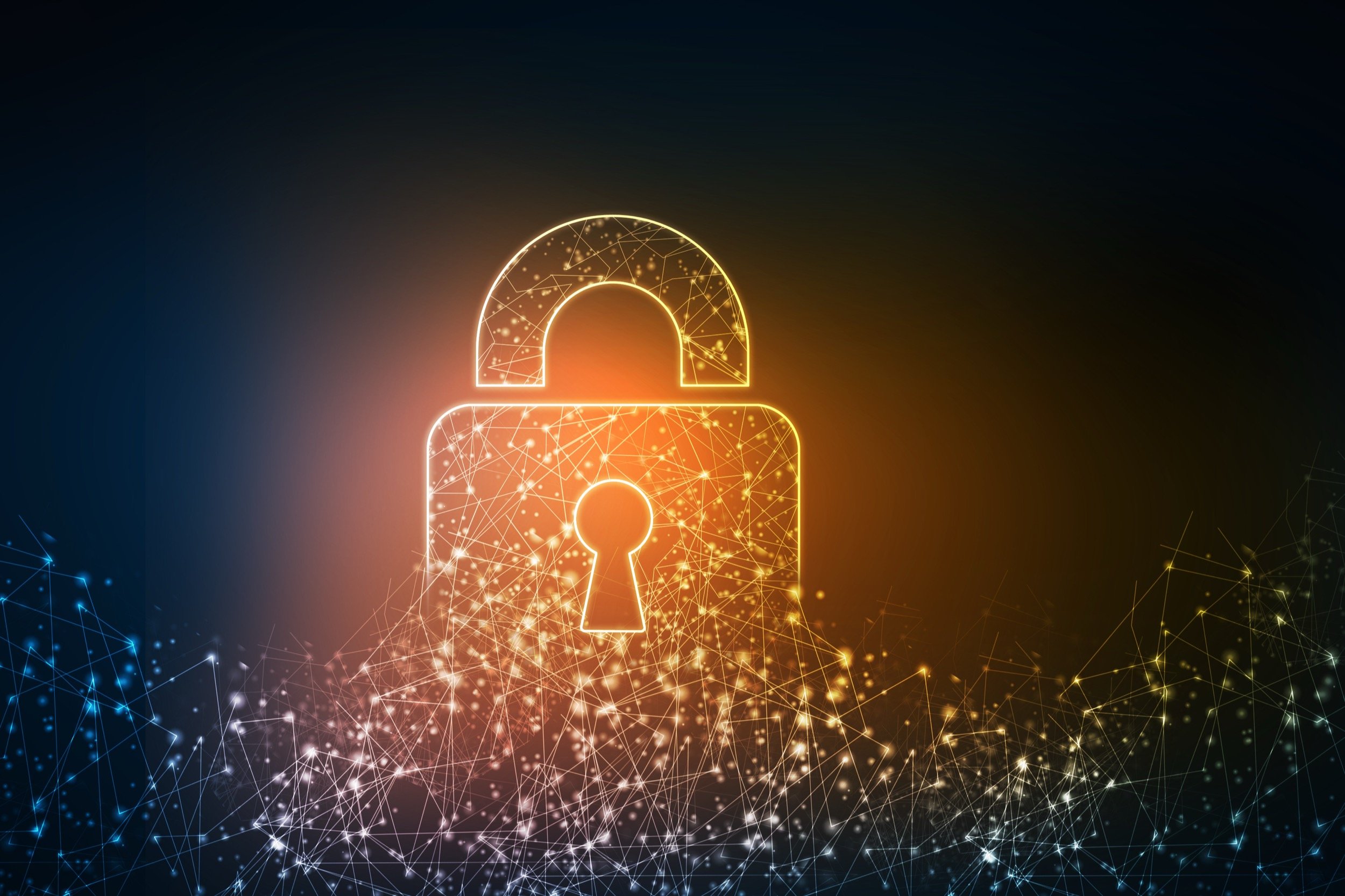 Anonymat, vie privée, informations personnelles : effacer ses données de navigation en ligne, mission impossible ? © ranjith ravindran / Shutterstock