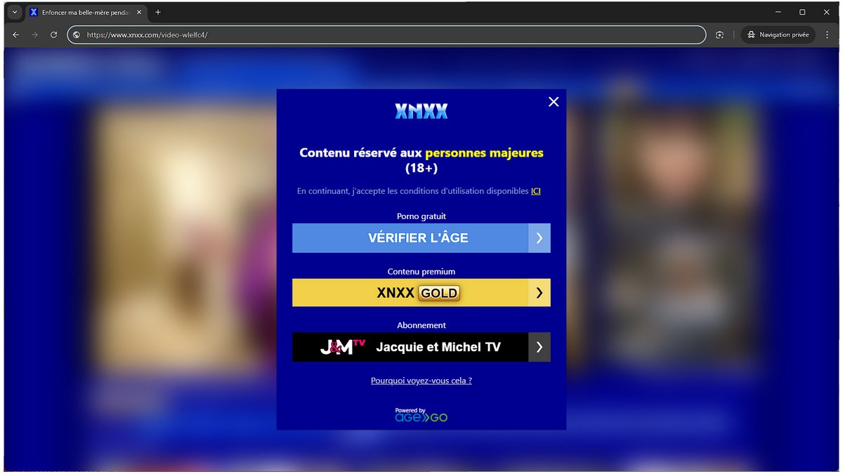 En 2025, XNXX, après une mise en demeure de l’ARCOM, a instauré une vérification d’identité. Une mesure critiquée pour ses risques sur la vie privée - © Clubic