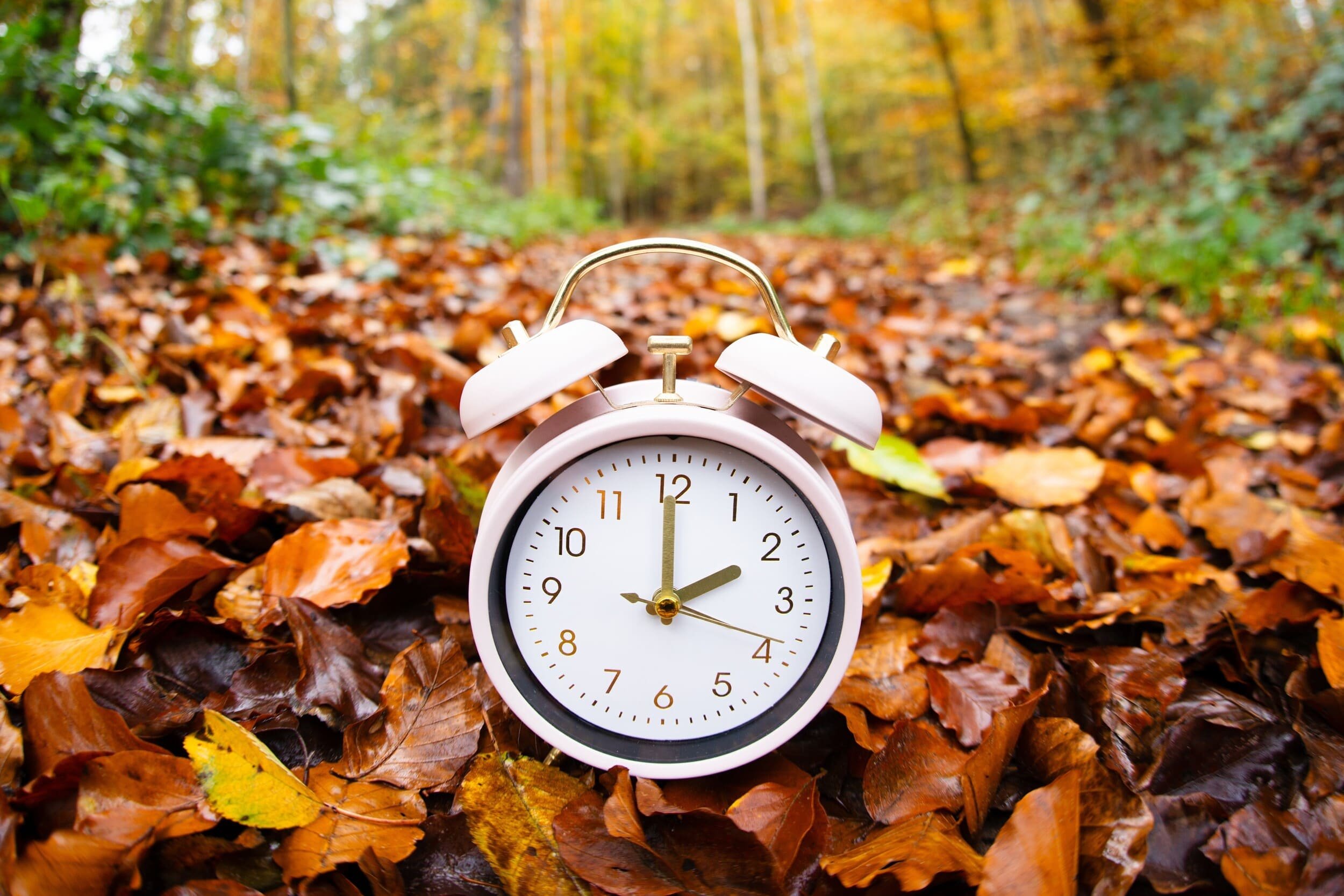 Les économies promises par le changement d'heure ont fondu comme neige au soleil avec les années © Berit Kessler / Shutterstock
