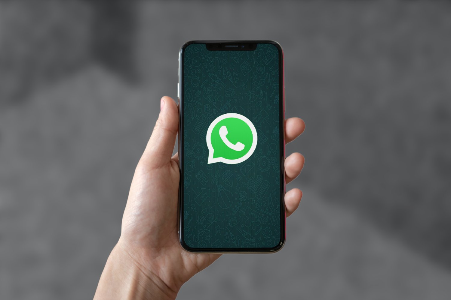 Le logo de WhatsApp sur un smartphone. ©MardeFondos / Shutterstock