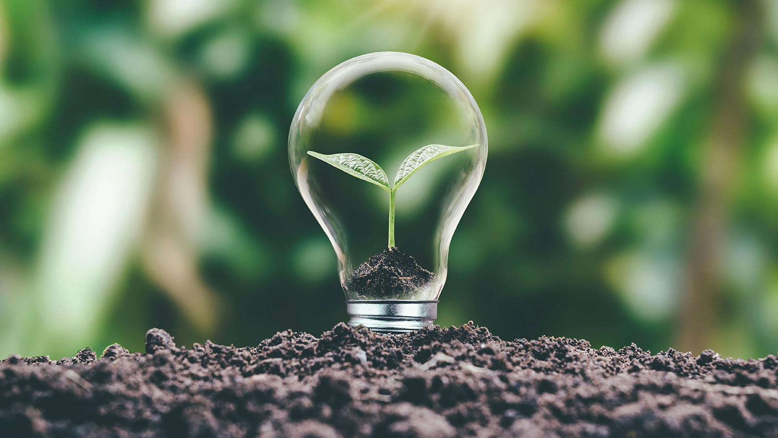 Avec ENGIE, chaque contrat permet de passer à une électricité 100 % verte, sans surcoût ni conditions ©Shutterstock