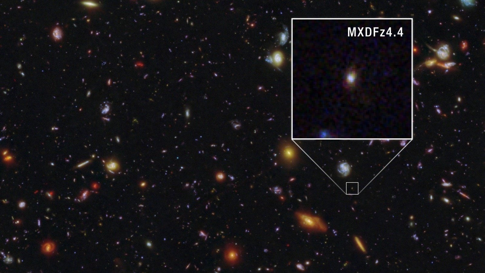 Ilias Goovaerts, chercheur postdoctoral au Space Telescope Science Institute (STScI) de Baltimore, a dirigé Hubble vers MXDFz4.4, une galaxie repérée dans le champ extrêmement profond du spectrographe MUSE du Very Large Telescope de l'ESO, au Chili - ©NASA, ESA, CSA, STScI, Ilias Goovaerts (STScI), Marc Rafelski (STScI, JHU), Anton Koekemoer (STScI) ; Traitement d'images : Alyssa Pagan (STScI)