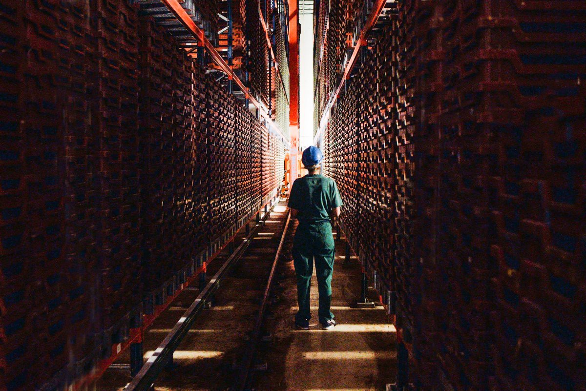 La licorne française spécialisée dans l'élevage d'insectes à grande échelle vient de sombrer en liquidation judiciaire, mettant fin à sept années de promesses intenables. © Ynsect