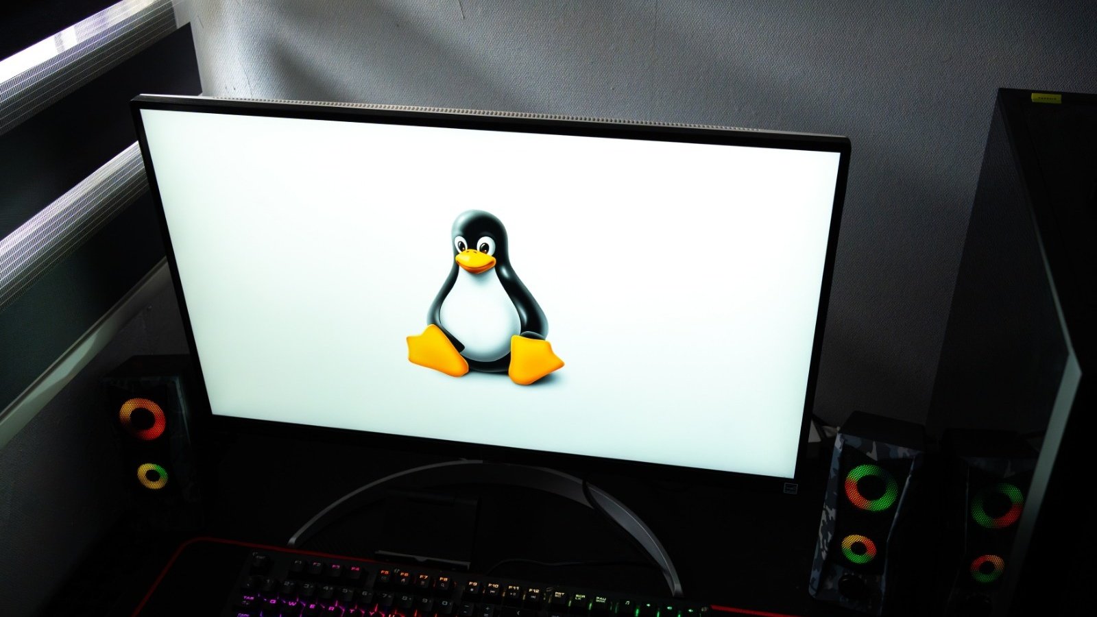 Faille Linux « OvsWrap » : une élévation de privilèges root menace des milliers de serveurs Linux - ©Claudio Borquez Arias / Shutterstock