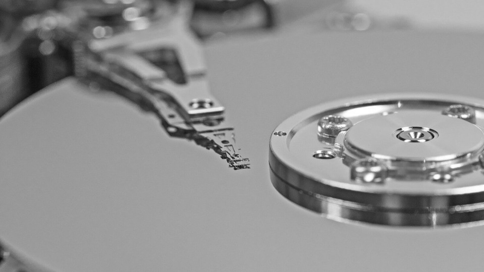 © blickpixel / Pixabay