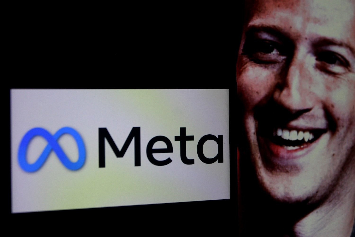 Zuck' est en mission. ©Kemarrravv13 / Shutterstock