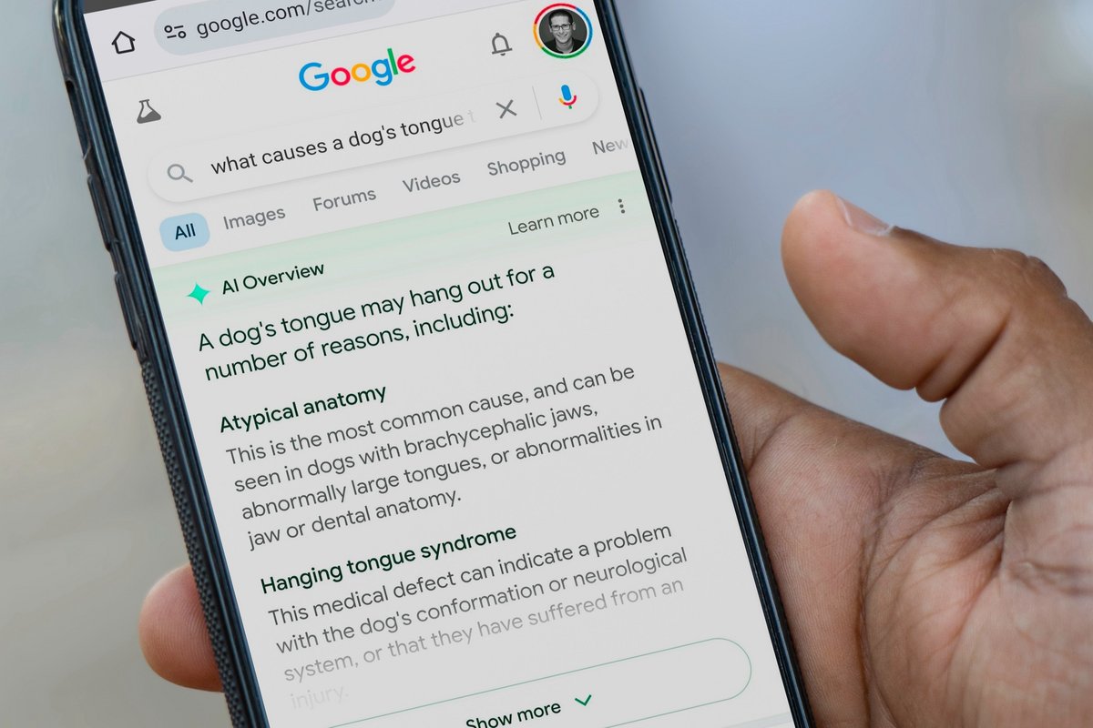 Google AI Overviews arrivera prochainement en France ©Shuttersock