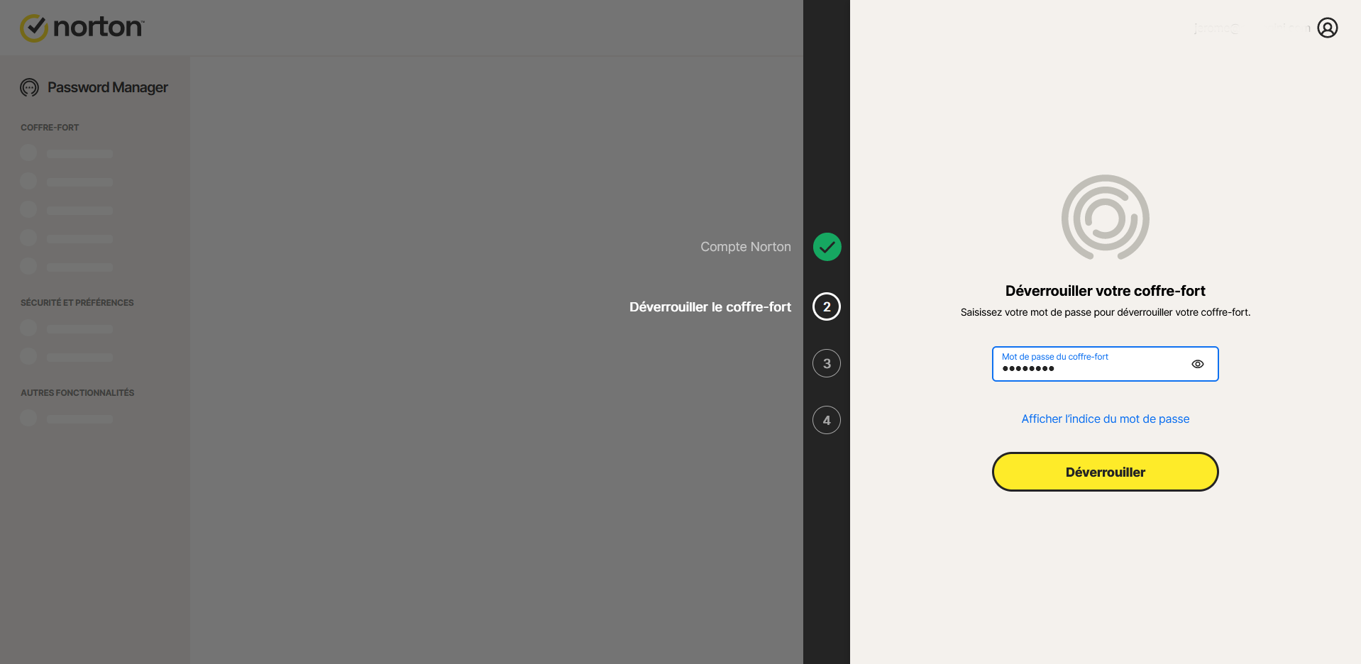 Norton Password Manager - Interface utilisateur