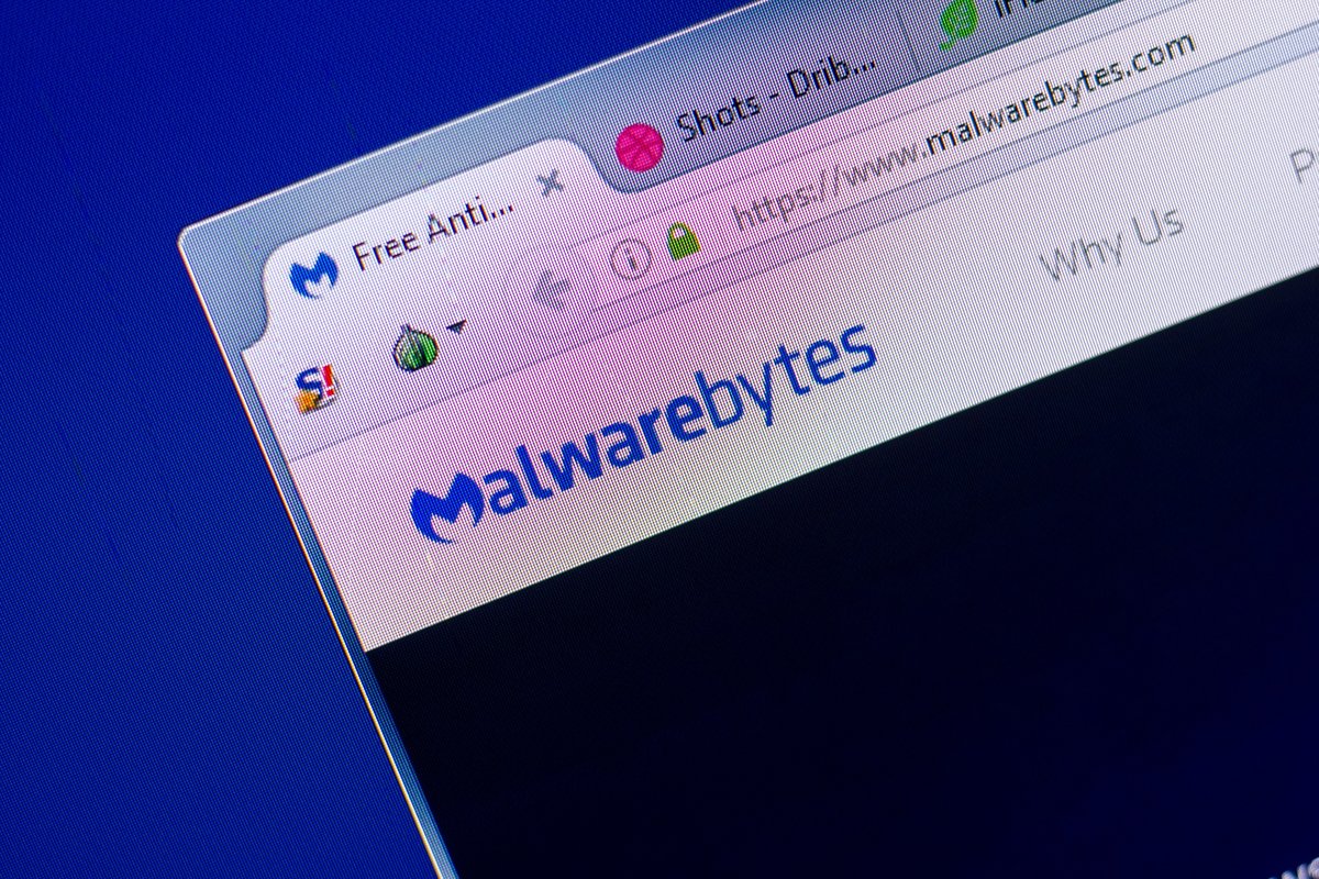 Malwarebytes s’attaque au casse-tête de la vie privée sur Windows. © Sharaf Maksumov / Shutterstock