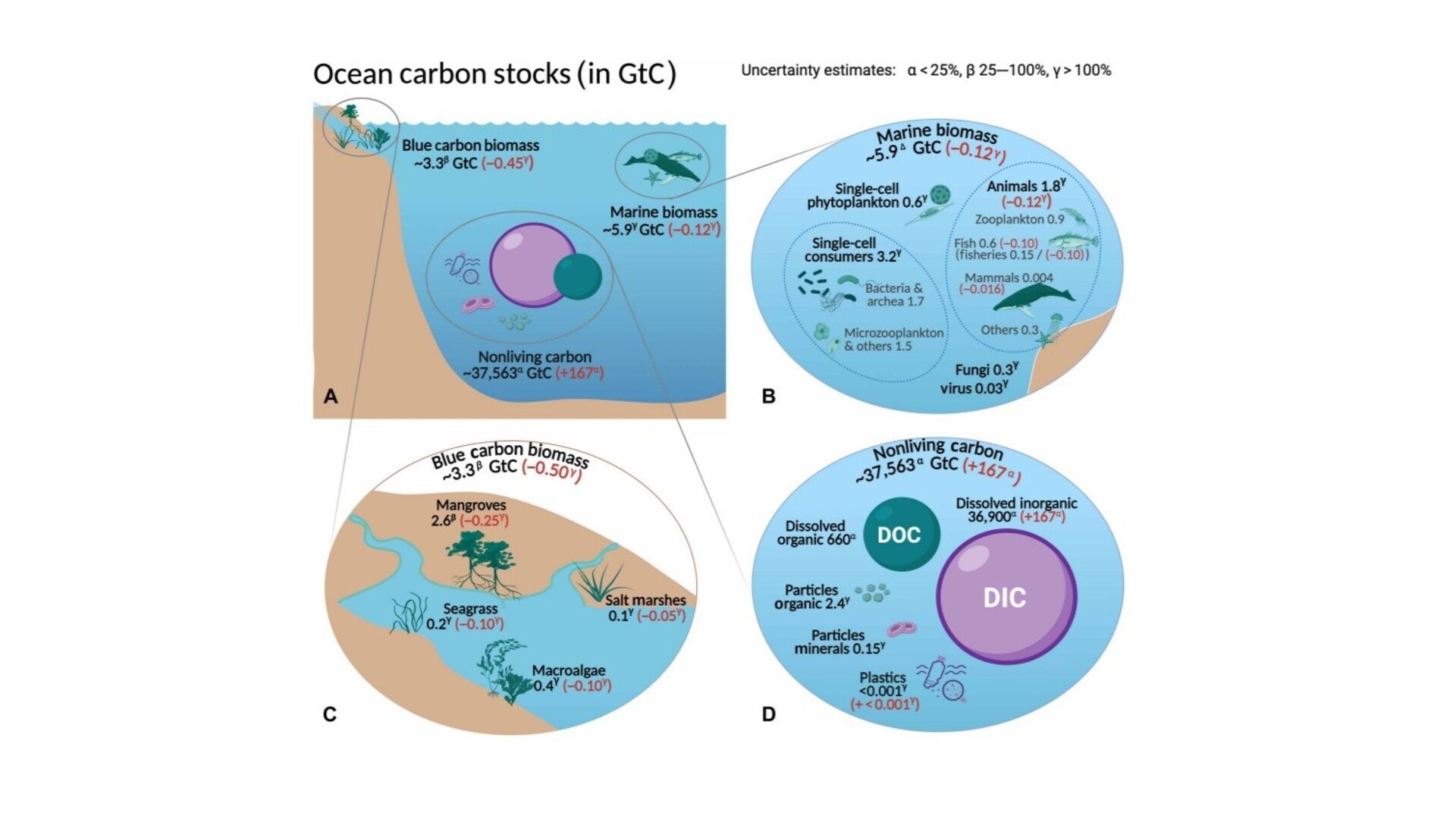 Cette figure illustre visuellement le chiffre-clé de l'étude : le carbone dissous et invisible (DIC) écrase de très loin tout ce que contient le vivant marin, baleines comprises. © Laure Resplandy, Marina Lévy, Laurent Bopp