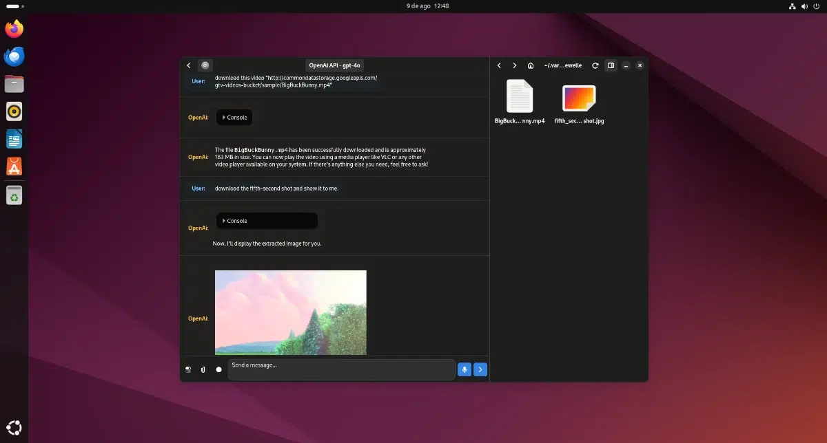 L'interface de l'IA conversationnelle Newelle sur Ubuntu - ©Ubunlog