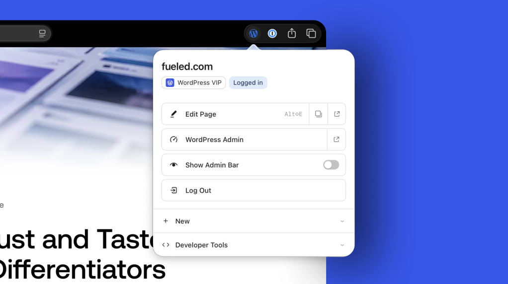 wordpress extension