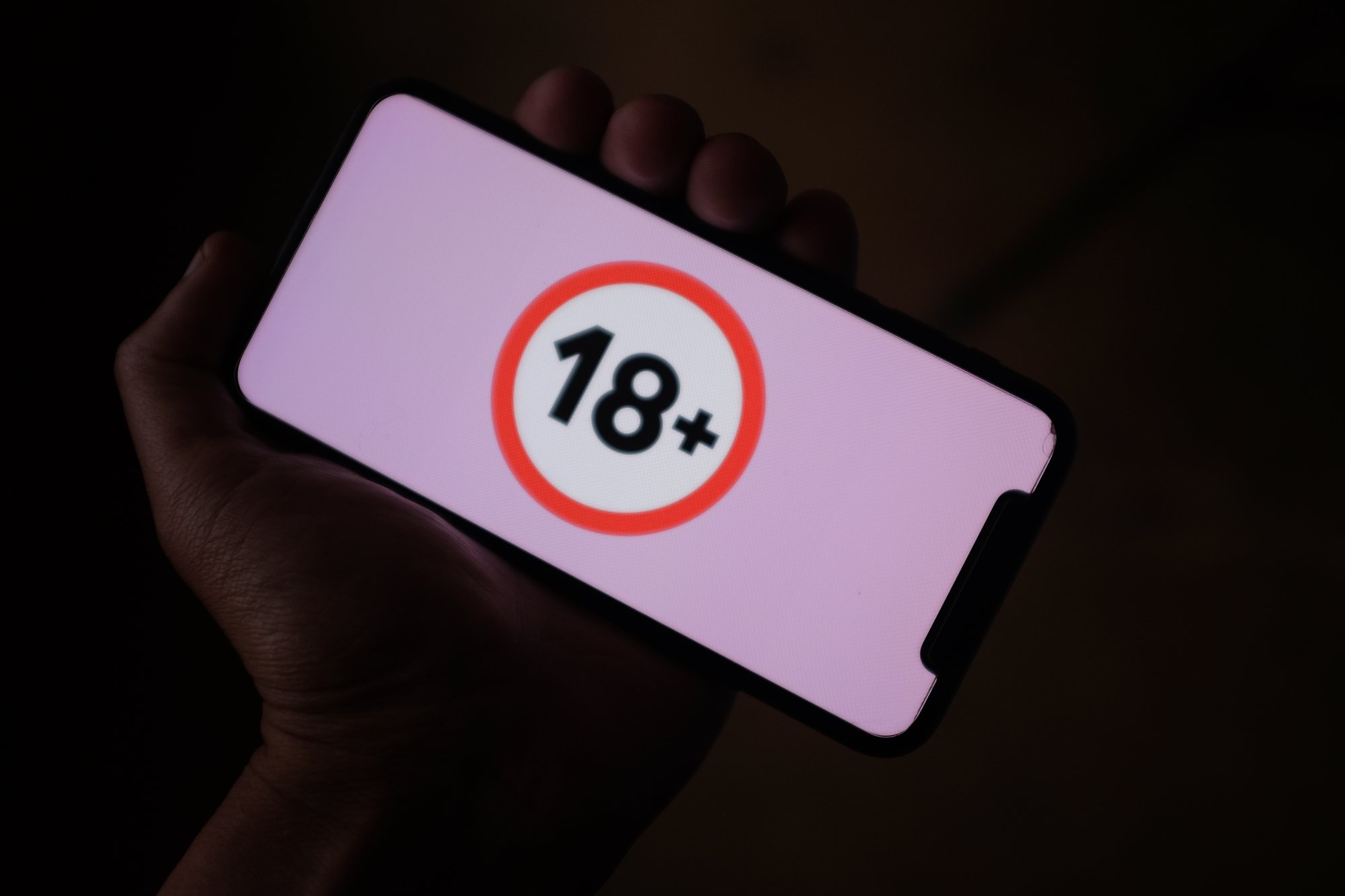 © DANIEL CONSTANTE / Shutterstock