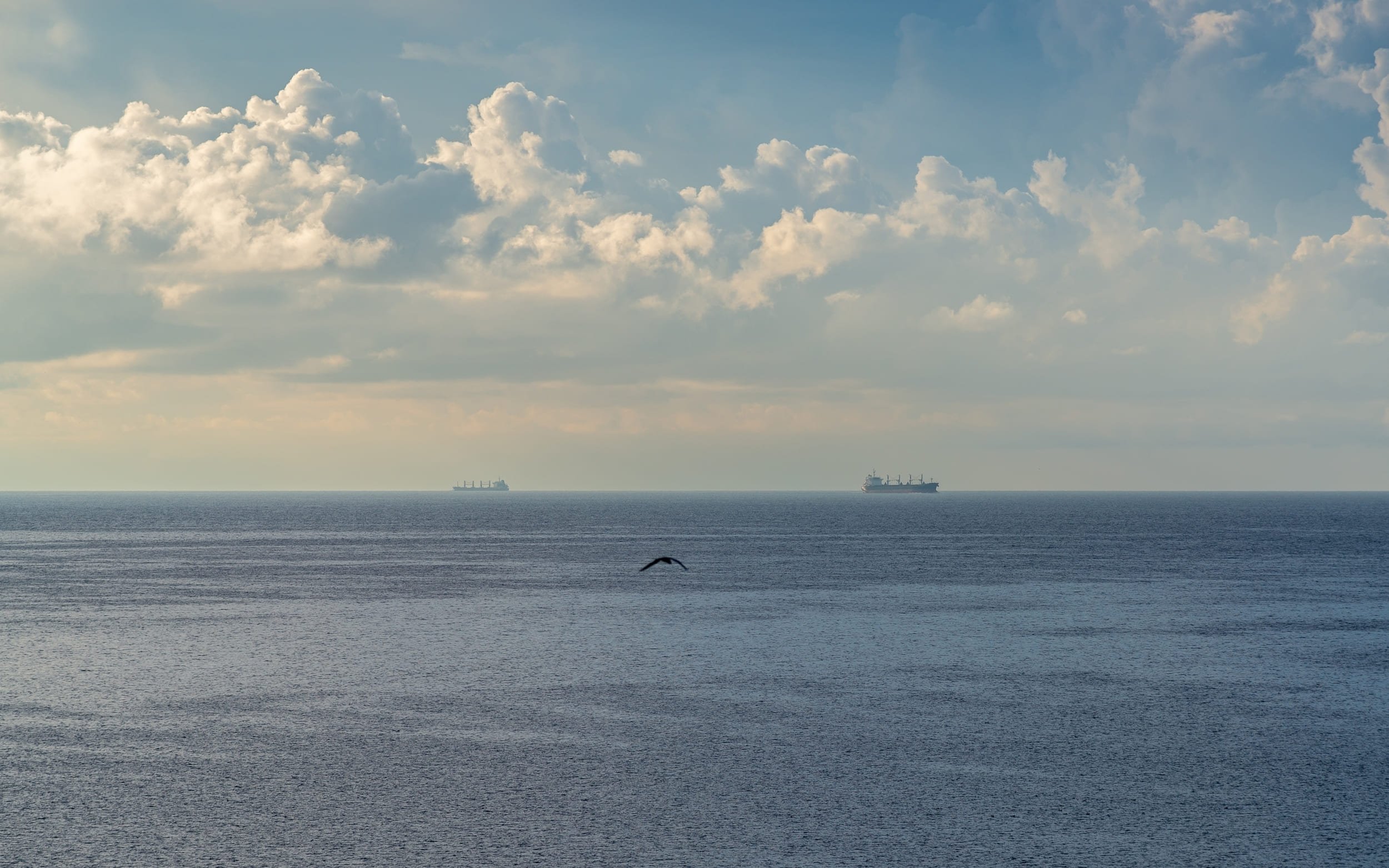 Un câble sous-marin, un de plus, a été endommagé dimanche en mer baltique © mika_mgla / Shutterstock
