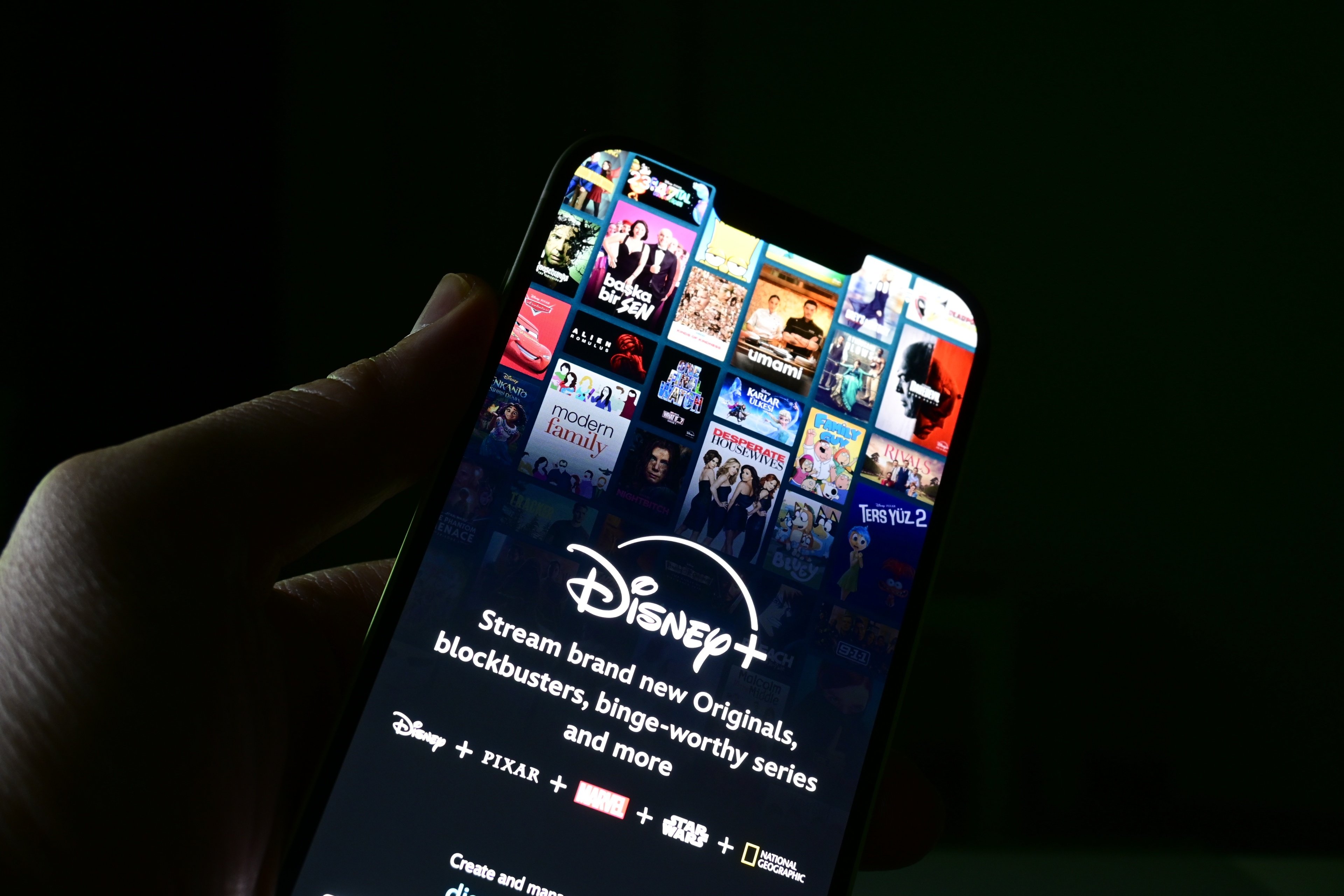 Disney+ fait encore grimper la facture ©miss.cabul / Shutterstock.com