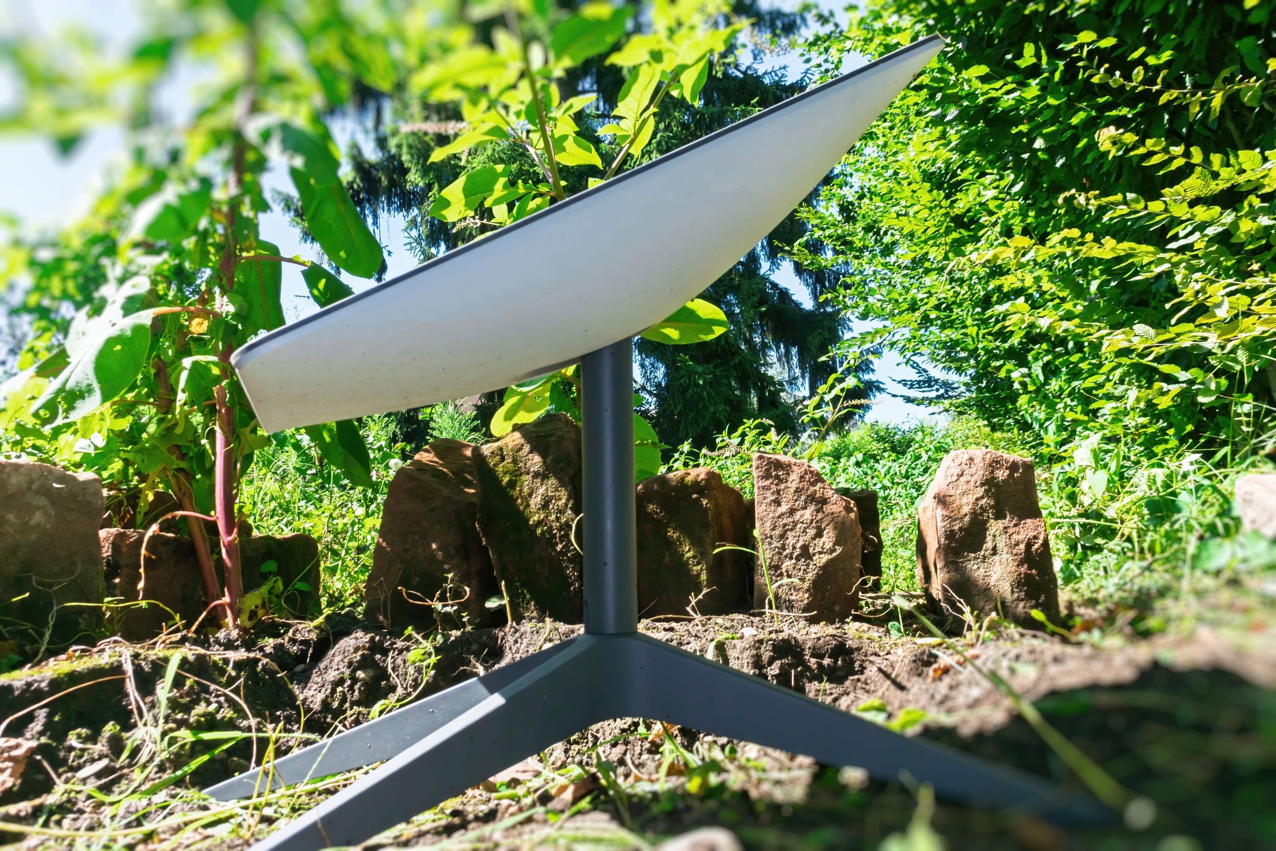 © Hadrian / Shutterstock.com