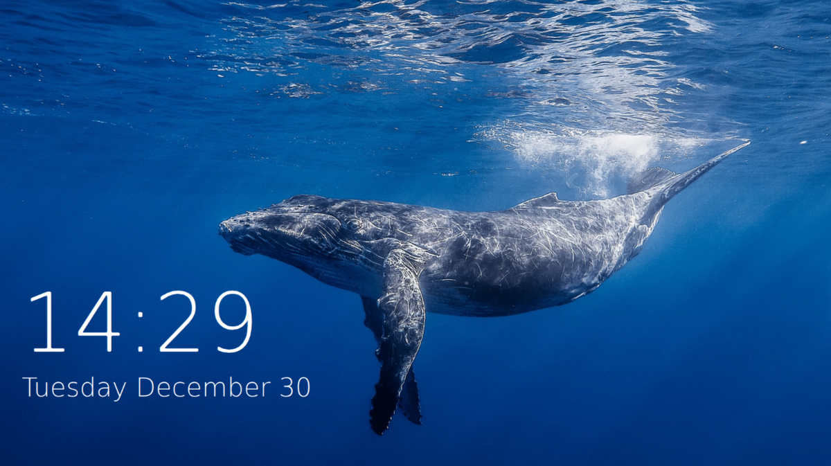 Un Windows 8 sous Linux plus vrai que nature. © er-bharat / GitHub