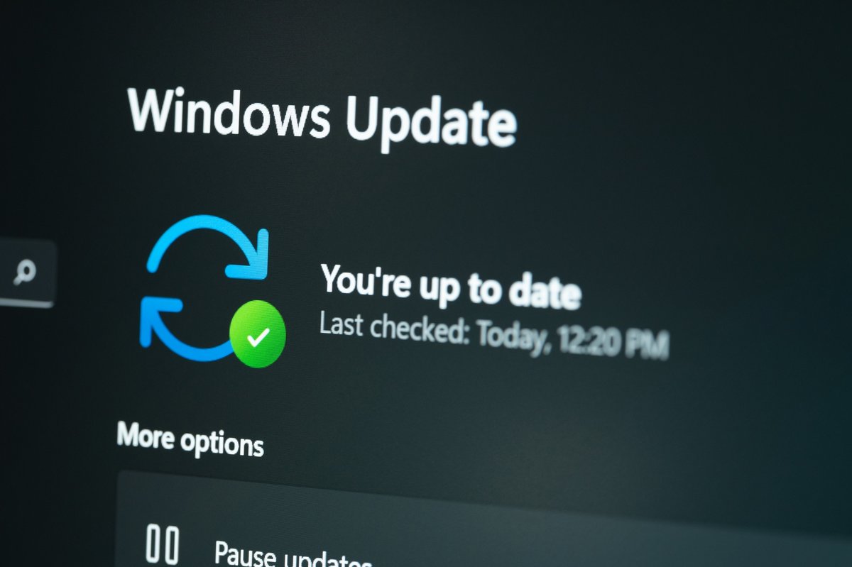 Il est temps de mettre à jour Windows pour récupérer ses connexions VPN © PixieMe / Shutterstock
