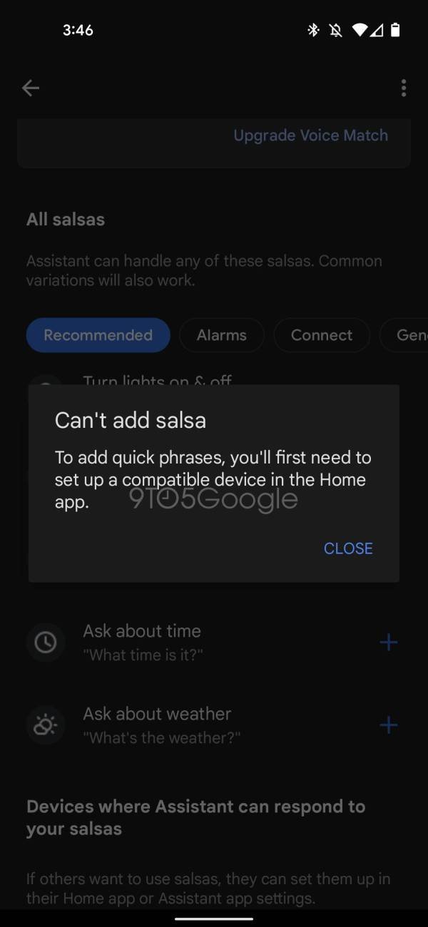 Salsas Google Assistant