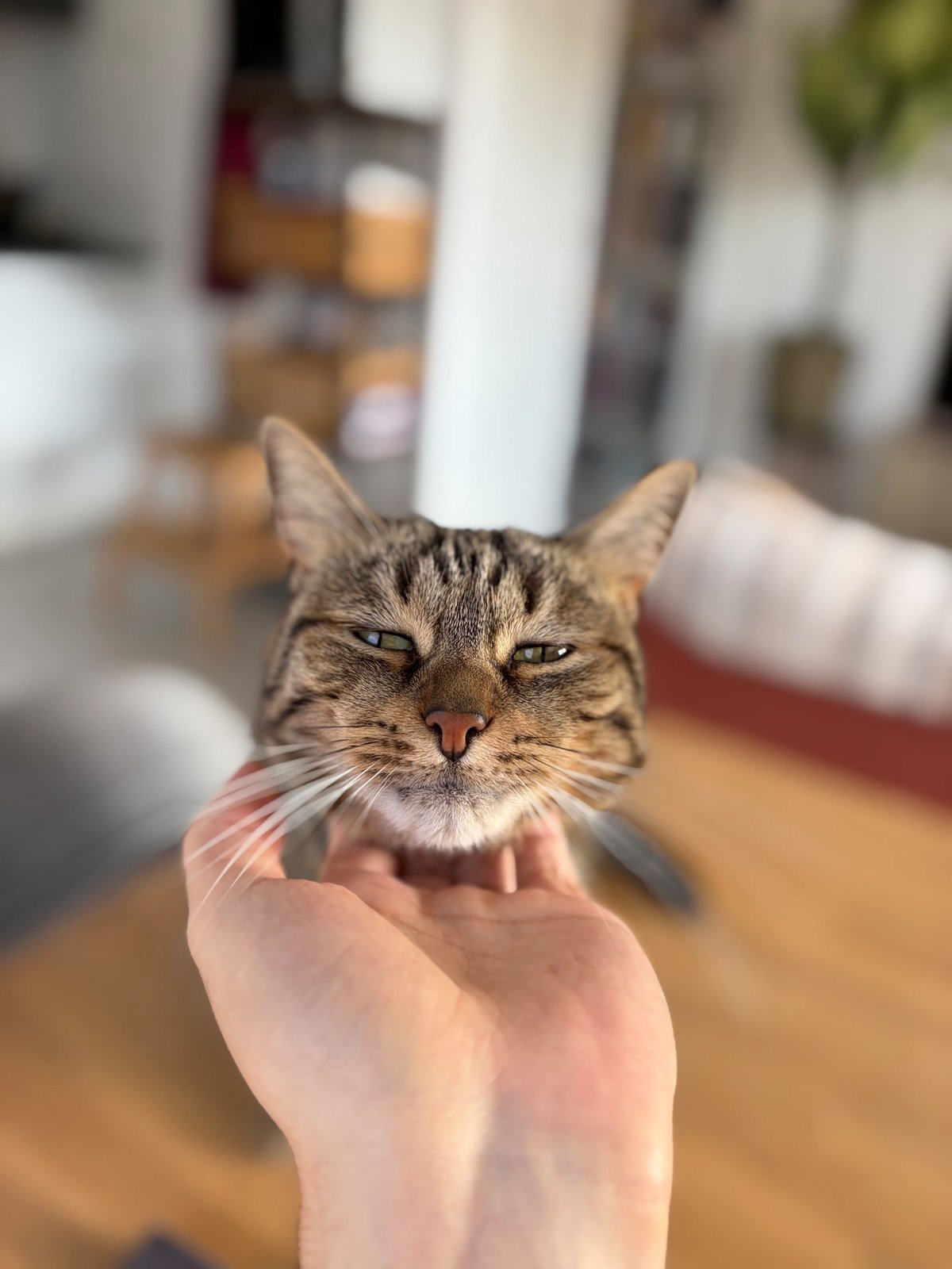 iphone air test portrait