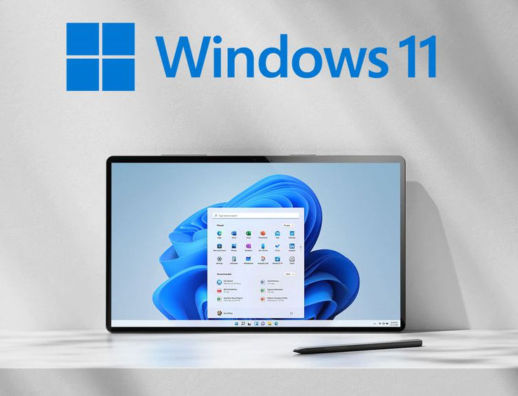 Windows 11 logo banner #disc