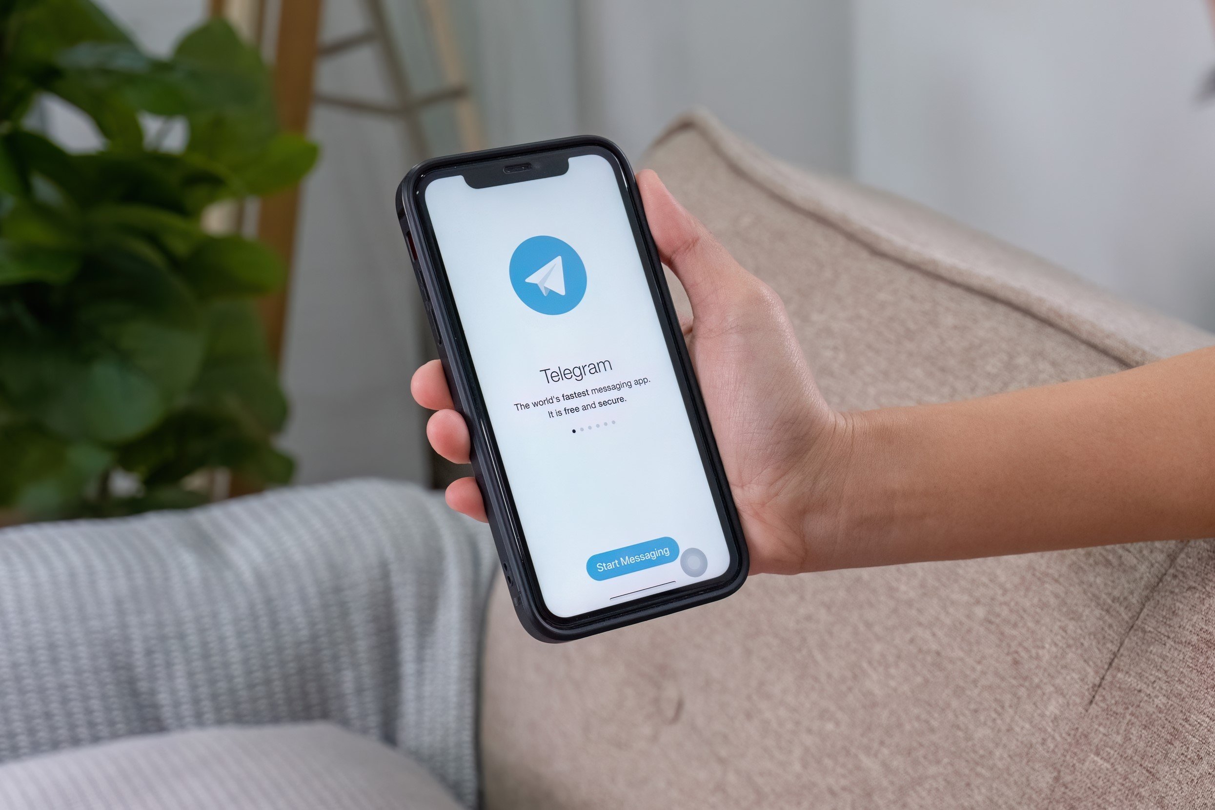 Bientôt un Telegram exempt de pédocriminalité ? - © wichayada suwanachun / Shutterstock