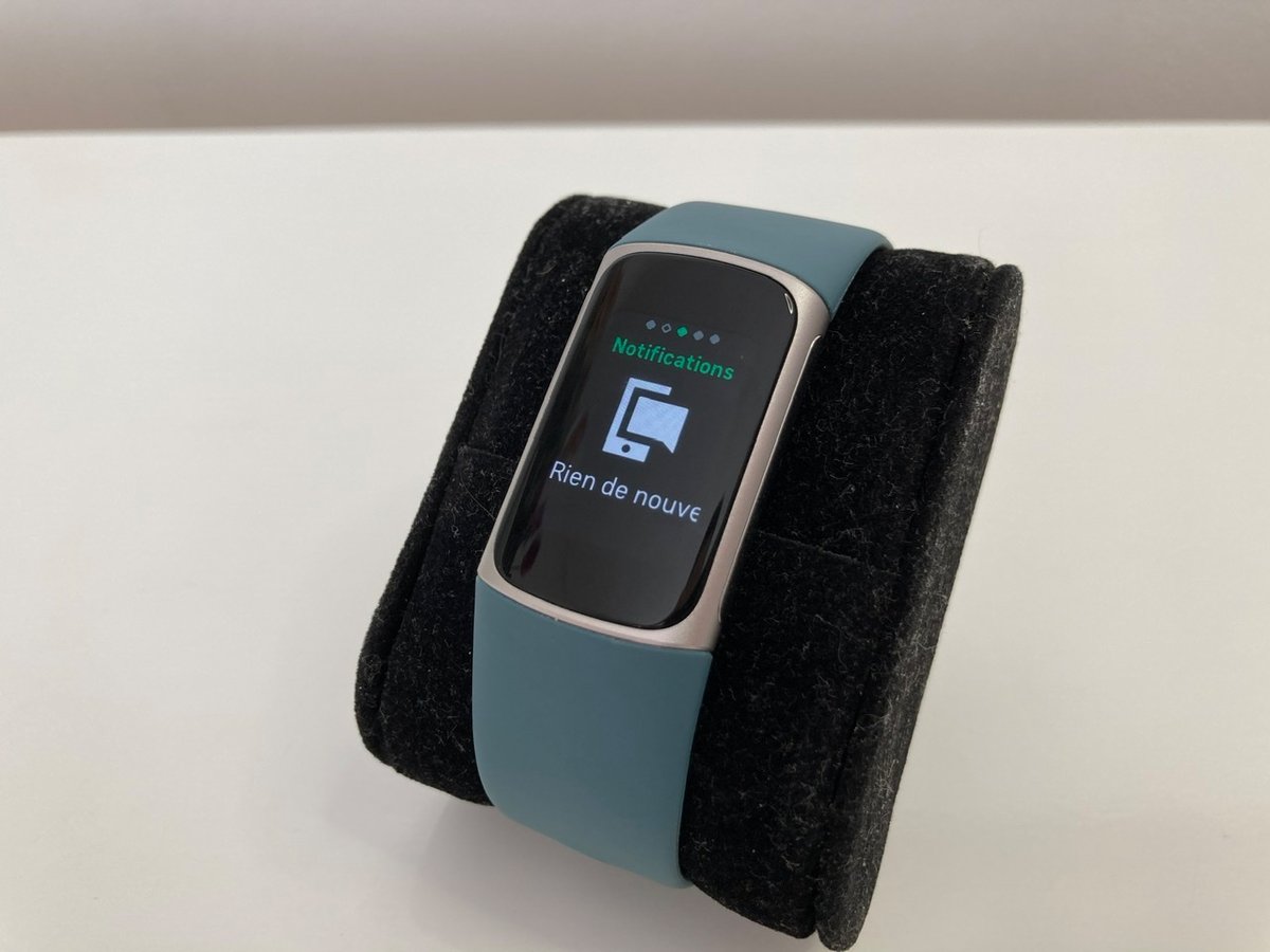 Fitbit Charge 5 - Notifications