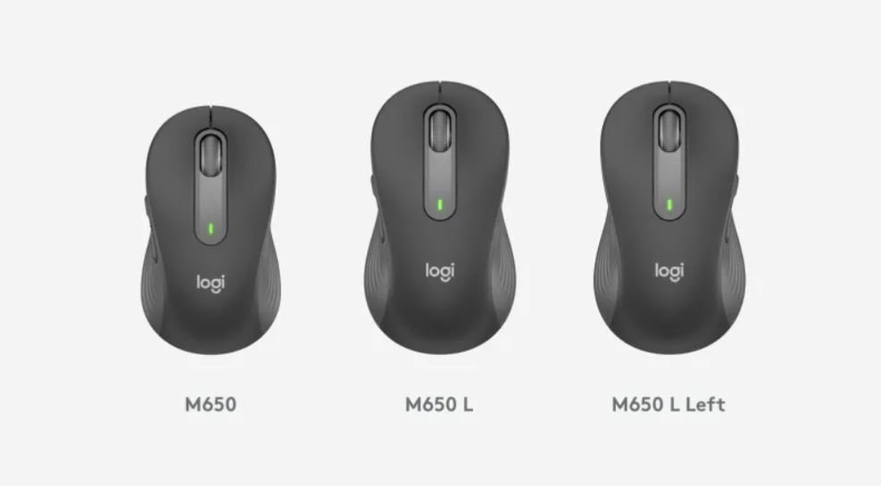 Une souris, trois modèles. La version pour gaucher se contente toutefois d'une taille "L" 