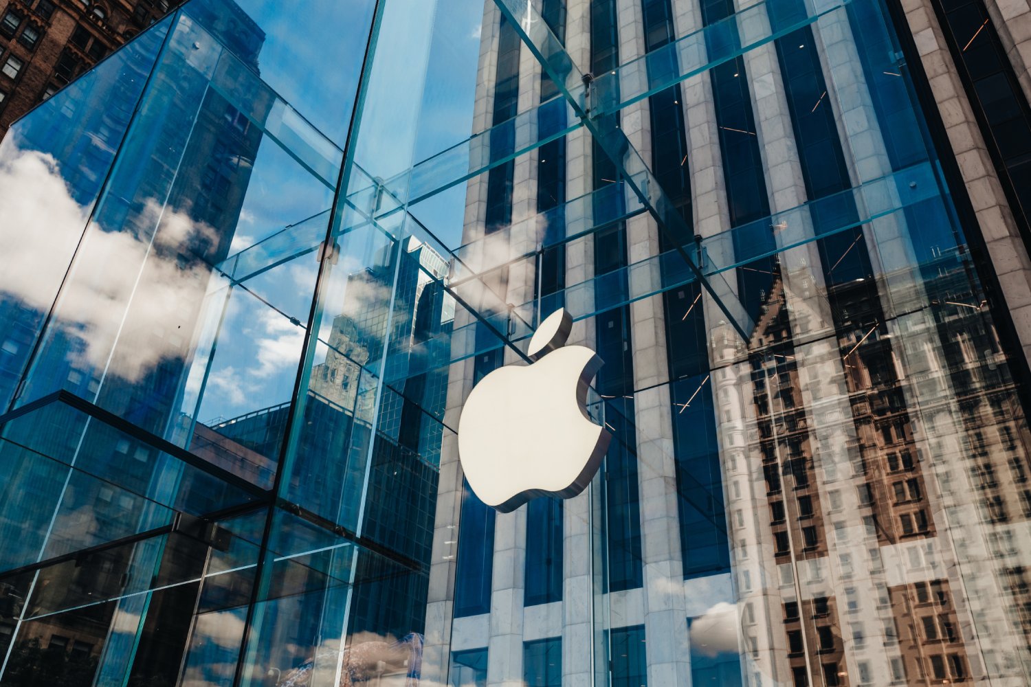 © Xeniia X / Shutterstock