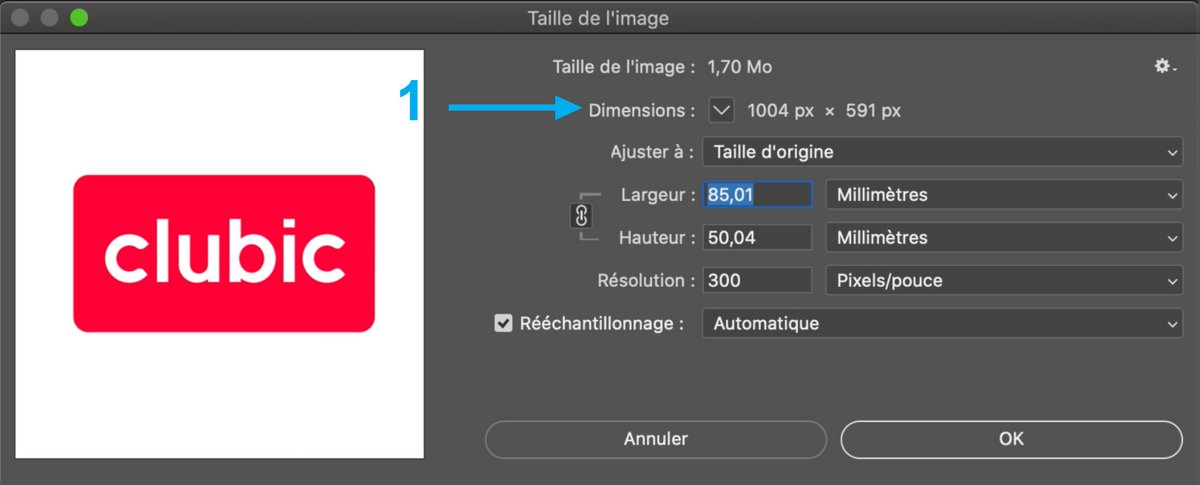 Les dimensions du document