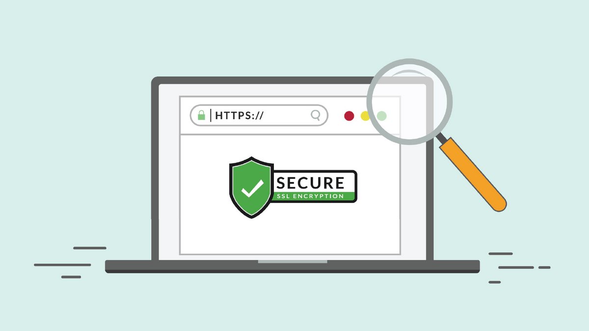 Profitez du certificat SSL pour plus de sécurité @Shutterstock