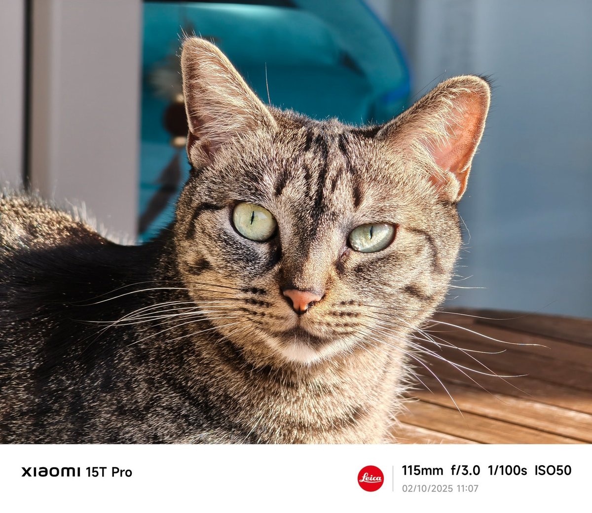 Xiaomi 15T Pro test portrait