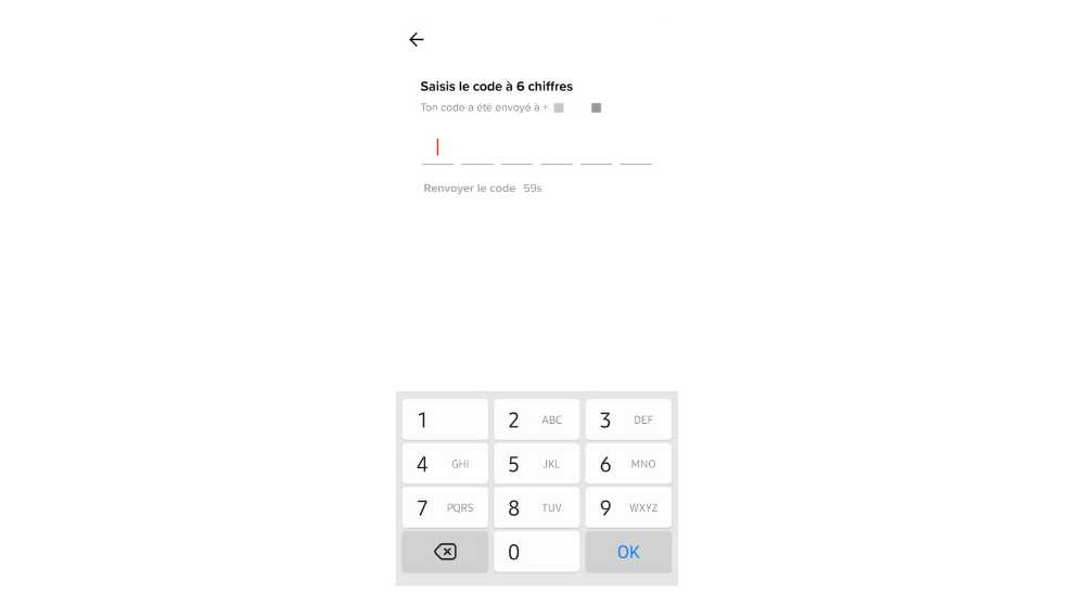 TikTok Code SMS