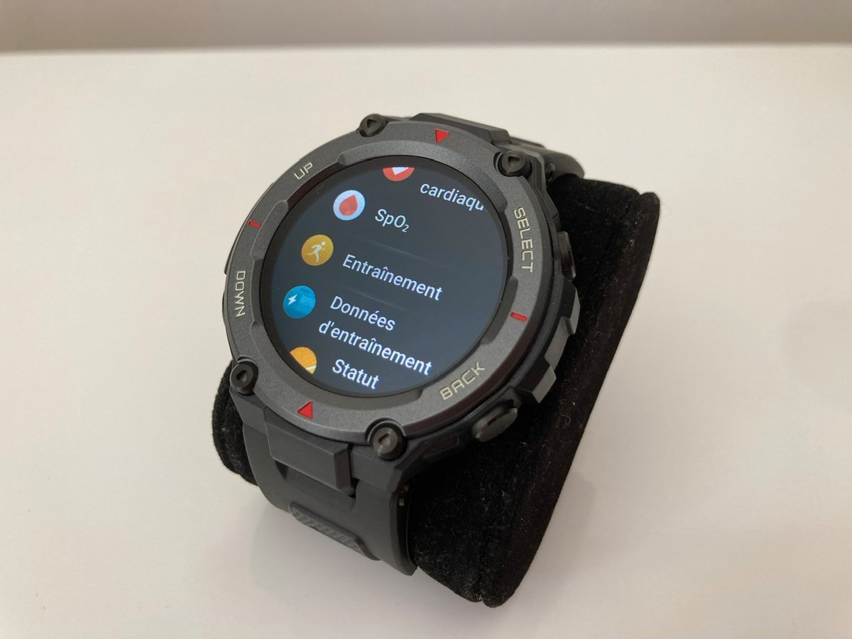 Amazfit T-Rex Pro - Interface 1