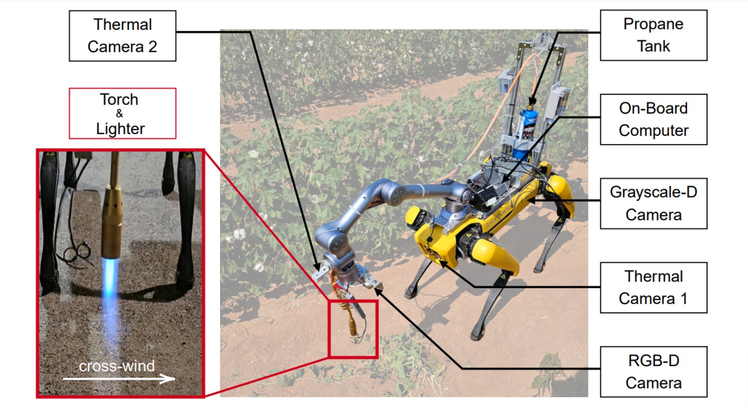 Voici à quoi ressemble ce fameux robot © Chercheurs de la Texas A&M University