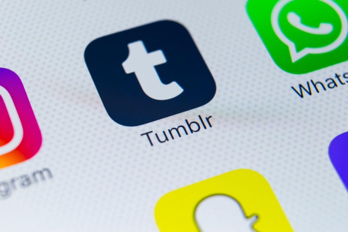 Tumblr mise sur TumblrTV pour proposer une alternative à TikTok © BigTunaOnline / Shutterstock