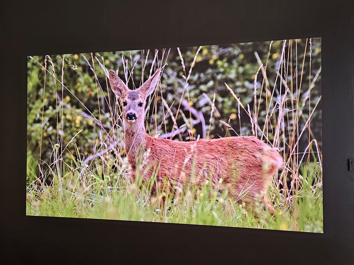 Image en sortie de carton, sur mur blanc © Matthieu Legouge pour Clubic