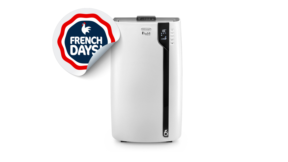 Le climatiseur Delonghi Pinguino PACEX100SILENT