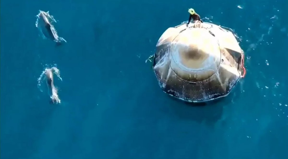 Les dauphins aux premières loges pour accueillir l'équipage de Crew-9 - © NASA (capture d'écran vidéo X.com)