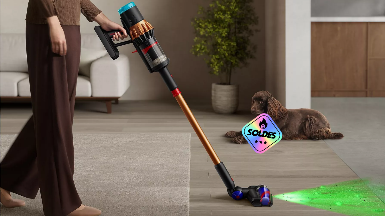 Dyson Piston Animal