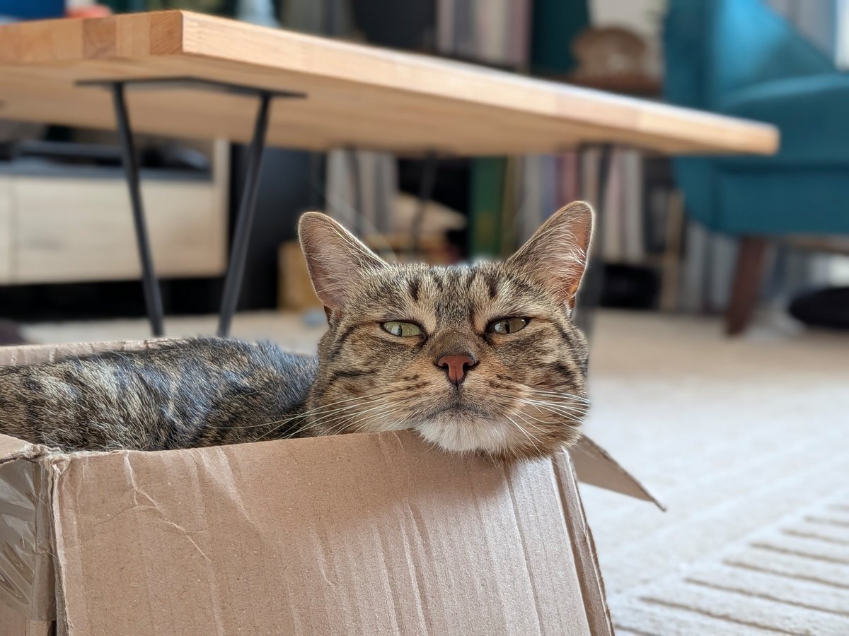 Pixel 10 test portrait
