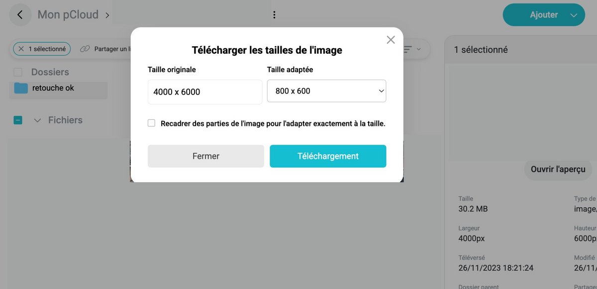 Téléchargez l'image redimensionnée © pCloud