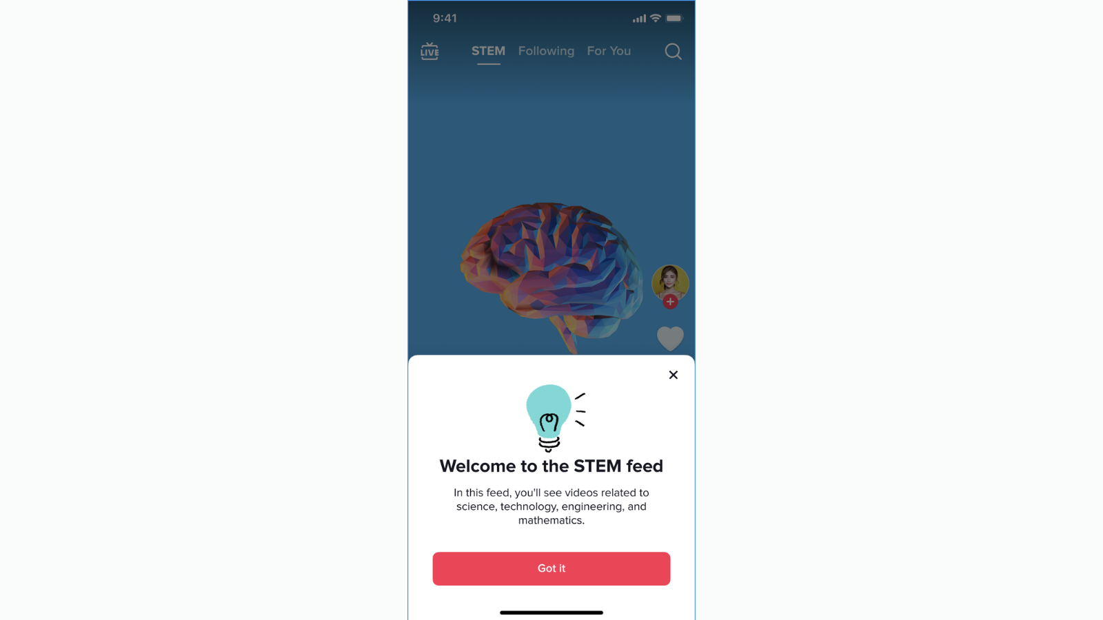 Le flux STEM, c'est pour quand en France ? © Bytedance