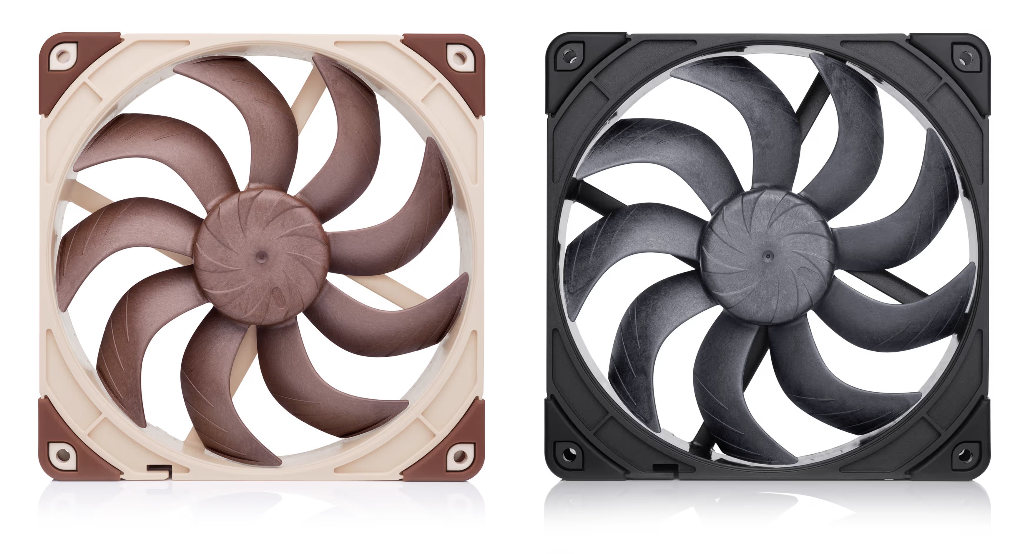 Beige/marron et noir : un changement de coloration pas si évident. ©Noctua