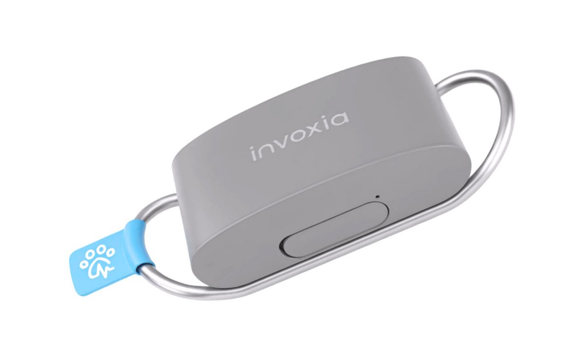 Le capteur Biotracker Édition 2026 et son anneau de fixation au collier du chien. ©Invoxia