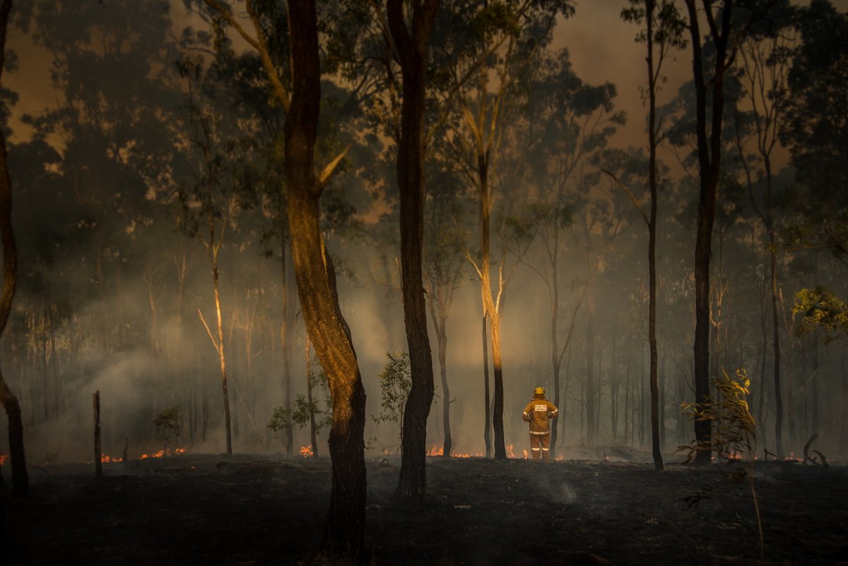 Les incendies australiens ont marqué ce début d'année 2020