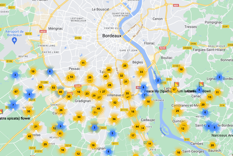 Une carte interactive pour nous aider à localiser certaines plantes © PlantSnap