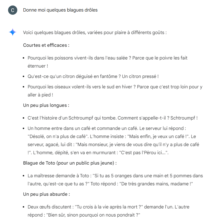  Pour l'humour, on repassera plus tard, on frôle la catastrophe. © Capture d'écran / Gemini