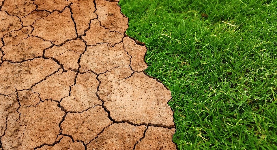 Changement réchauffement climatique