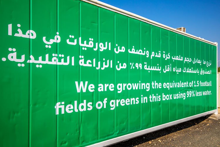 « Ce container permet de cultiver des légumes verts sur l’équivalent d’une surface de 1,5 terrains de foot, mais en utilisant 99 % moins d’eau » - © Madar Farms